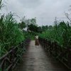 Xaoiyue的头像