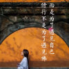将军【困困困】的头像