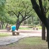 山谷里的歌声的头像