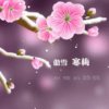家和的头像