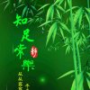 不再打扰的头像