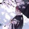 夏木Darren的头像
