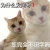 方无意的头像