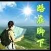 凤明的头像