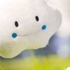 雨风飞的头像