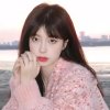 THG清酒良女♬的头像