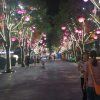 胡姐的头像