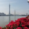 我…吴情的头像