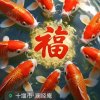 黄时英的头像