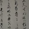 缘来缘去缘还缘的头像