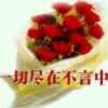 瓶的头像