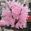 春花的头像