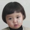 橙子的头像