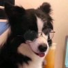 贺随的头像