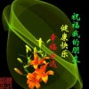 云的头像
