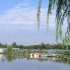 乐向未来的头像