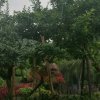 小不点的头像