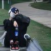 若汐[ACG]的头像