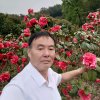 山茶哥的头像
