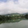 心缘的头像