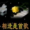 自我快乐的头像