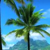 梦回故乡LOVE的头像
