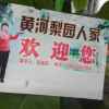 白果儿的头像