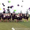 秋韵的头像