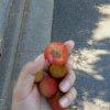 fantasy的头像