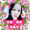 云歌惜缘（副族长）的头像