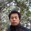 复出的头像