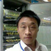 只求一份安定的头像