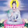 敏儿的头像