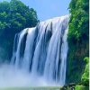 高山流水wyw的头像