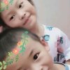 八九点钟的太阳的头像