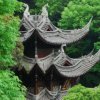 Jasmine(忙, 空必回访)的头像