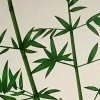 平凡的头像