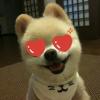 睡在树上的鱼的头像