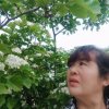 开心果的头像