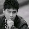 文希的头像