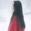 琴的头像