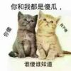心痛在流泪的头像