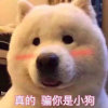 由頁的头像