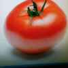 红番茄的头像