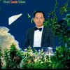 德行天下的头像