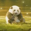 秭星（暂离，消息不能及时回复很抱歉）的头像