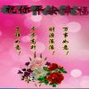 直觉的头像