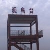 受伤的人，的头像