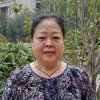 杨海燕的头像