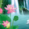 湘攸 云中月 的头像